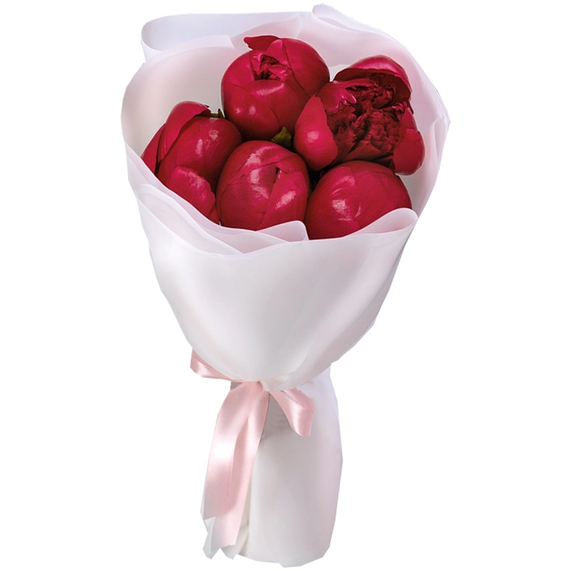 Букет из 5 бордовых пионов