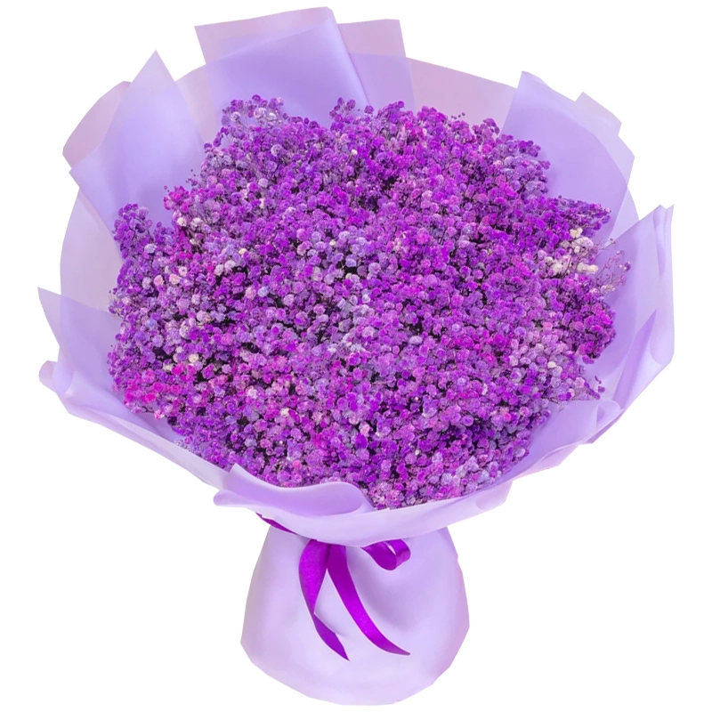 Букет из 51 фиолетовой гипсофилы