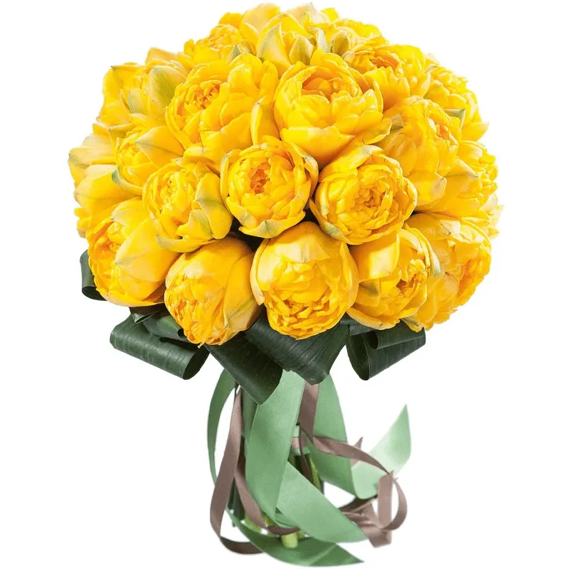 Пионы желтые